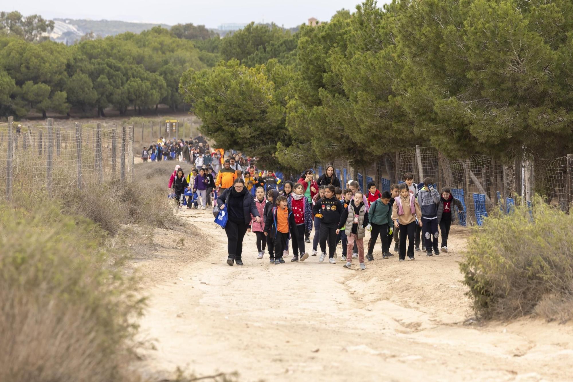 800 escolares se implican en la celebración del Día del Árbol con la plantación de especies autóctonas en torno a la laguna de La Mata de Torrevieja