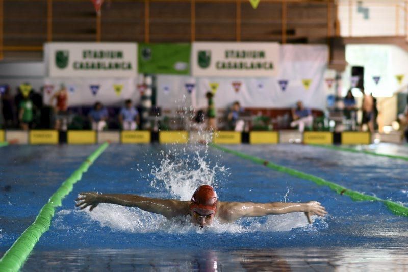 Trofeo Ciudad de Zaragoza de Natación