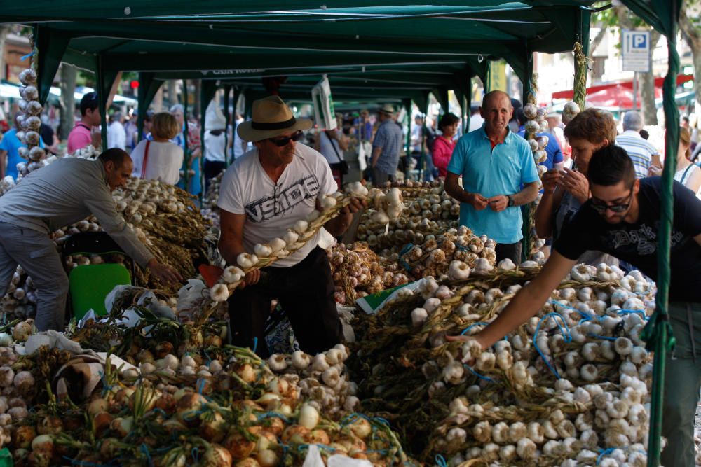 San Pedro 2016: Feria del Ajo