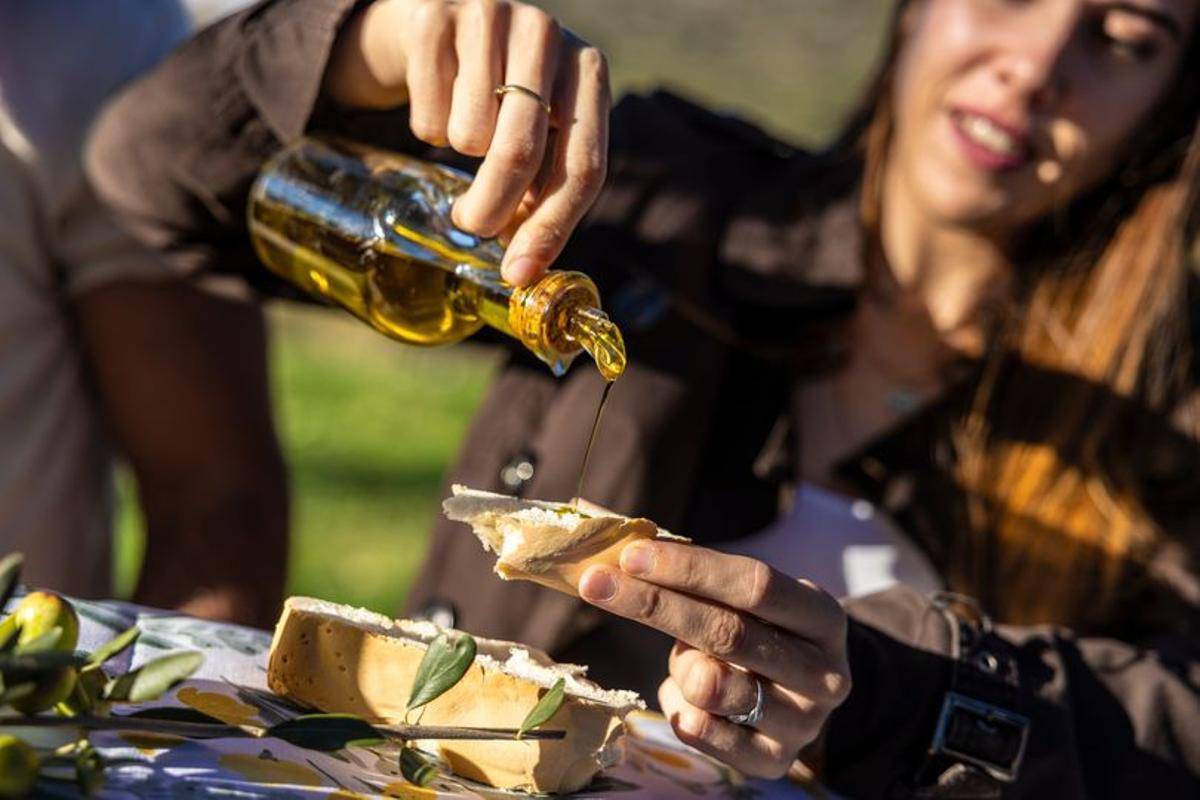 La Ruta del Aceite.