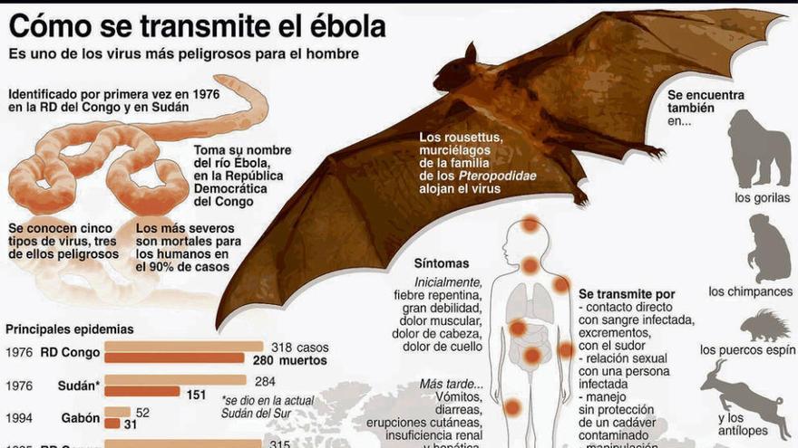 Sacyl equipa frente al ébola a hospitales y centros de salud de la provincia