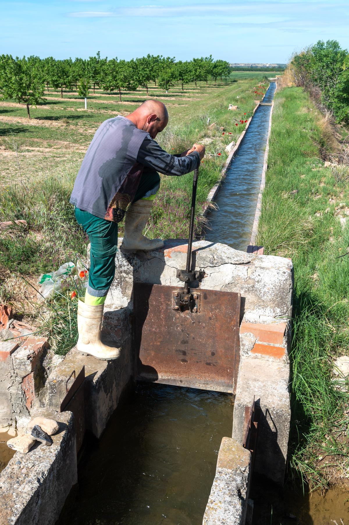 La campaña de riego del Canal dUrgell se cierra por la falta de agua