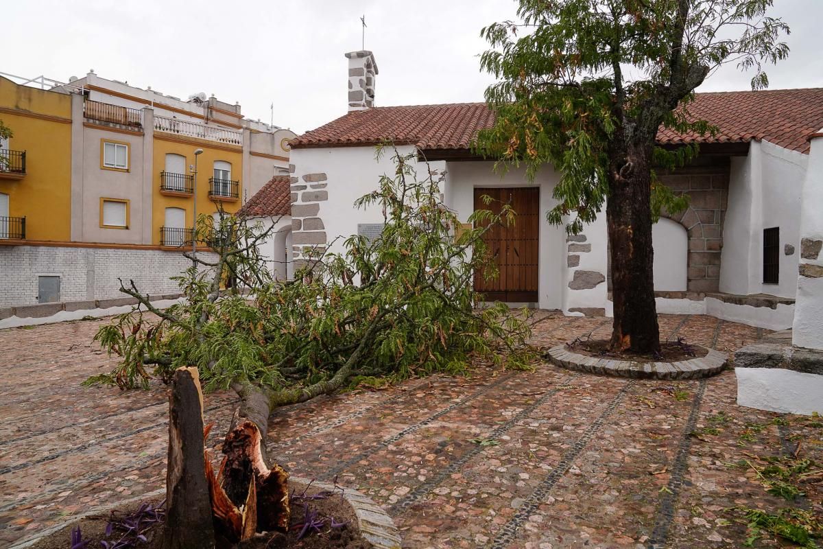 Un vendaval sacude Pozoblanco