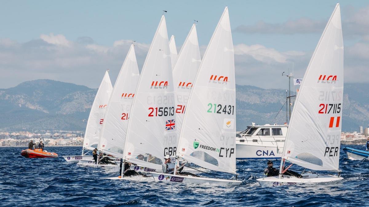 Una de las regatas de ILCA 7 disputadas en la pasada edición del Trofeo Princesa Sofía Mallorca
