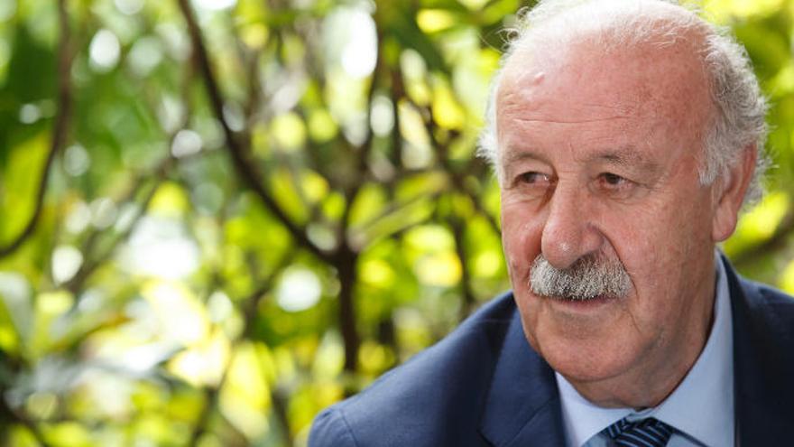 Del Bosque: &quot;Hay que tomar el descenso de la UD con deportividad&quot;