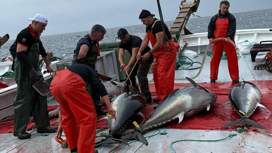 La hostelería de O Grove se promociona con el pescado azul