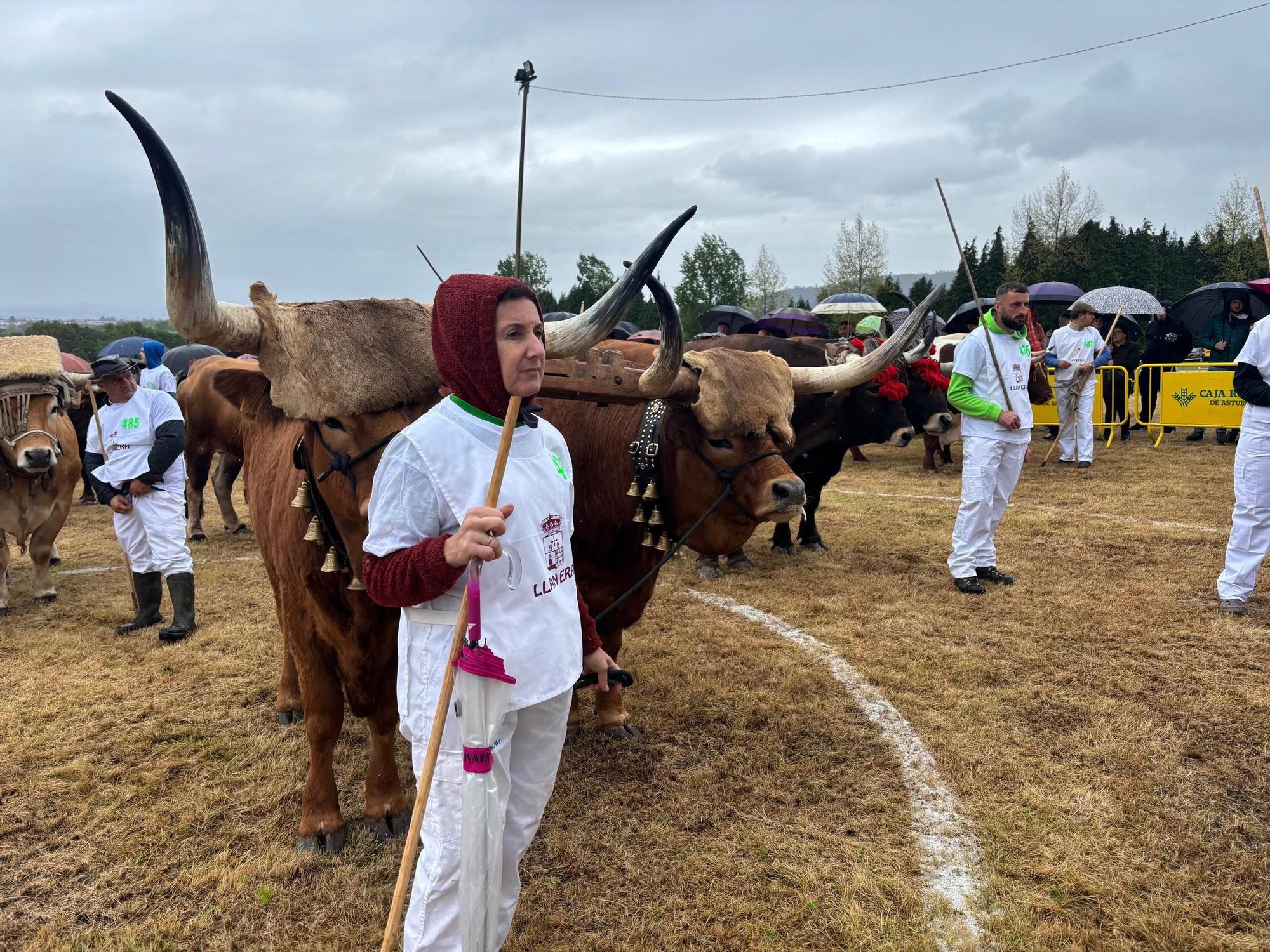 EN IMÁGENES: El domingo de San Isidro en Llanera