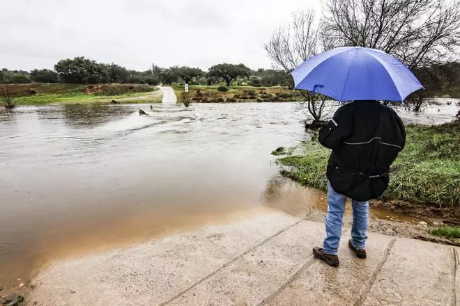Más de 6 años sin soluciones en Cáceres para los vecinos aislados por el Salor
