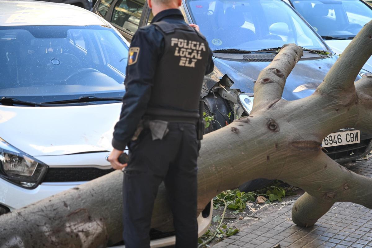 Decenas de incidencias en Elche por las fuertes rachas de viento