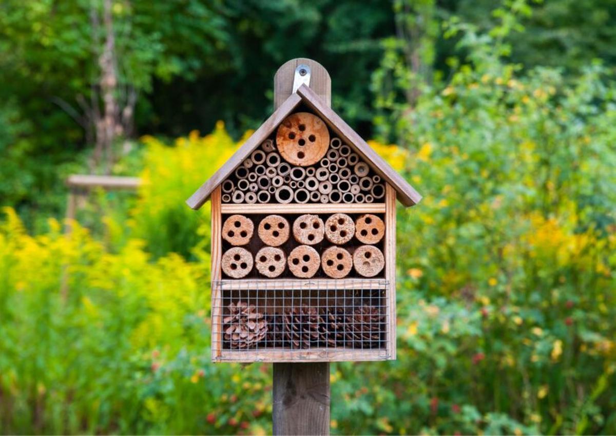 Hotel para insectos, ideales que aniden abejas