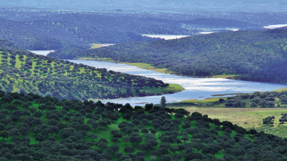 Embalse de Cíjara, una de las mejores reservas de pesca del interior de España.