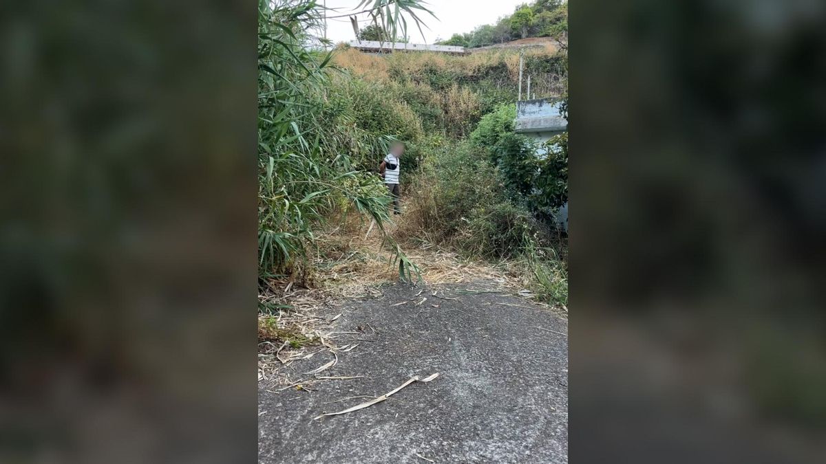 Sorprendido “in fraganti” mientras intentaba incendiar el monte de Moya
