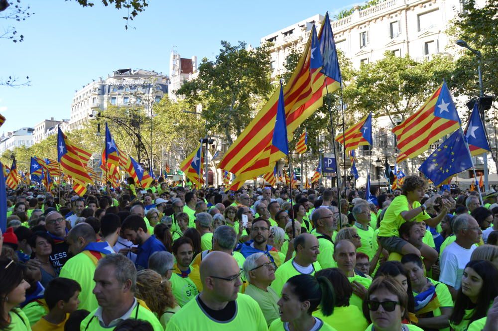 Berguedans a la concentració de la Diada