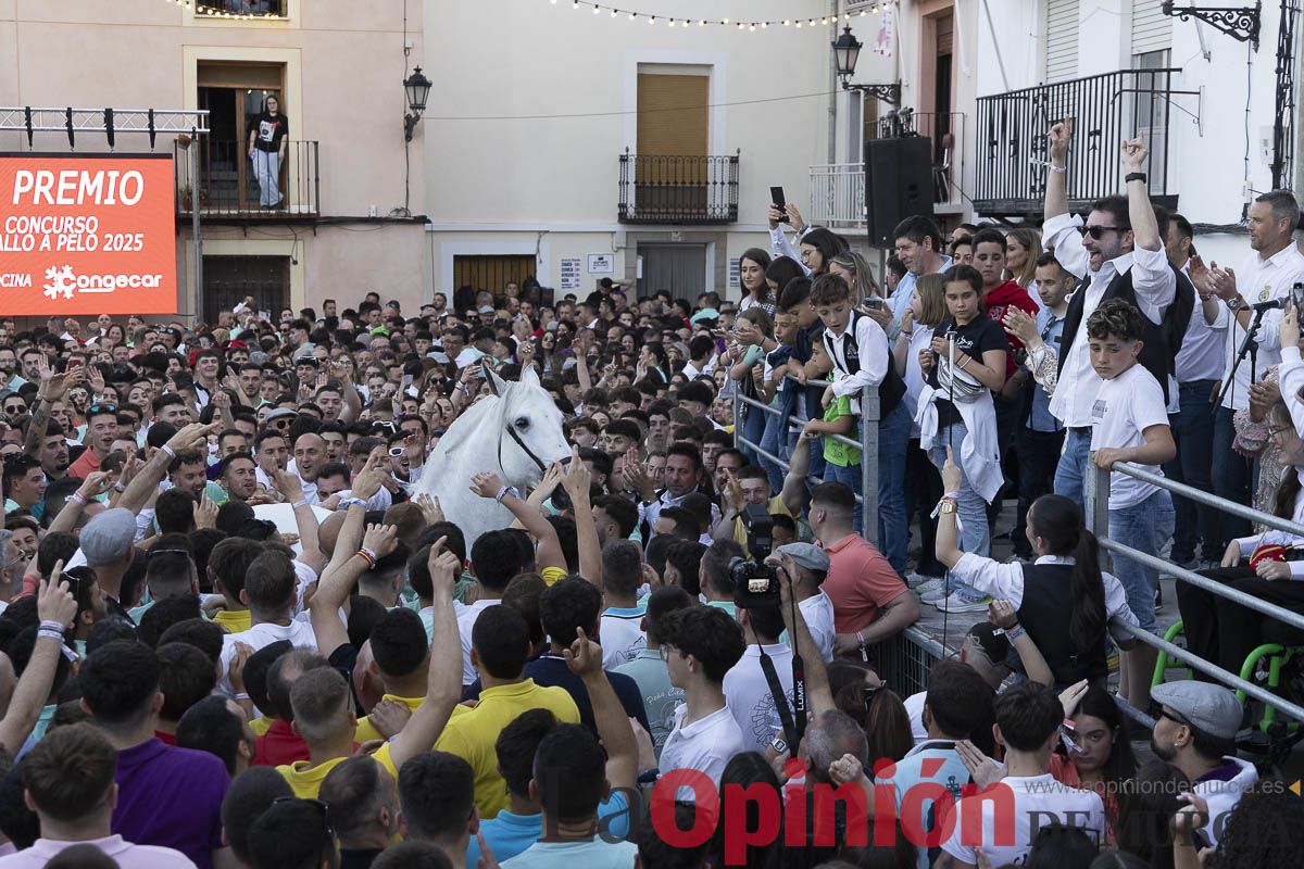 Fiestas de Caravaca | Entrega de premios del concurso morfológico