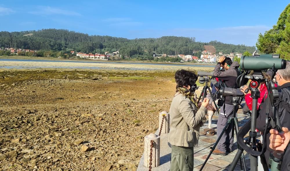 Día de las Aves con SEO/BirdLife