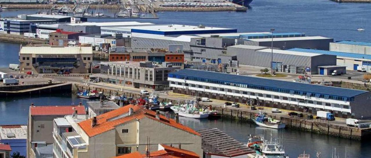 Vista del puerto pesquero del Berbés, con la Cooperativa de Armadores a la izquierda. // Marta G. Brea