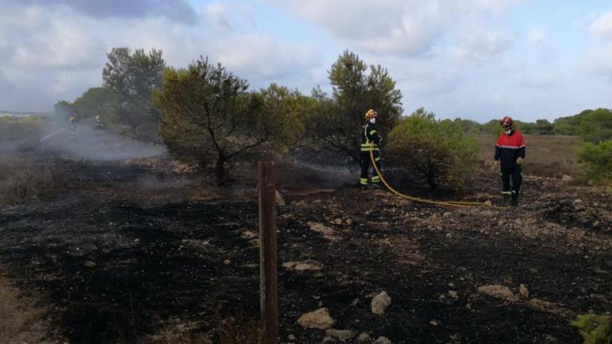 Un incendio quema 2.000 metros cuadrados en el Parque Natural de La Mata