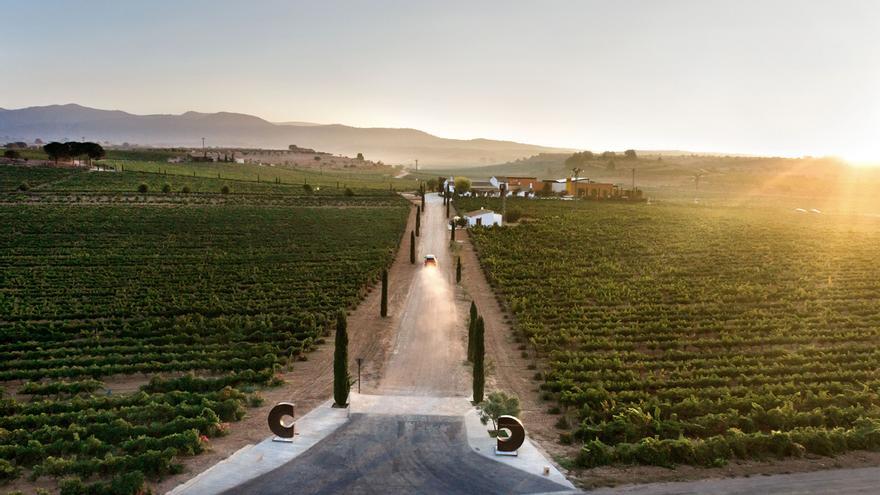 Chozas Carrascal consigue que el vino sea una fiel representación del viñedo y del clima que le abraza.