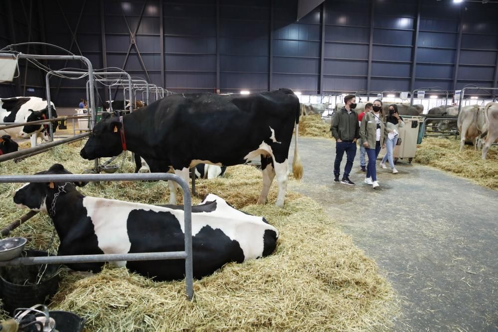 Agropec cierra su cita en Gijón