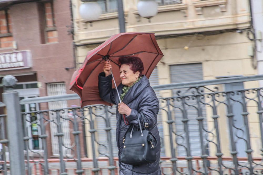 Las fuertes rachas de viento han provocado la caída de cascotes, árboles y toldos en la Vega Baja y la intervención de la Policía Local y Bomberos en Torrevieja y Orihuela