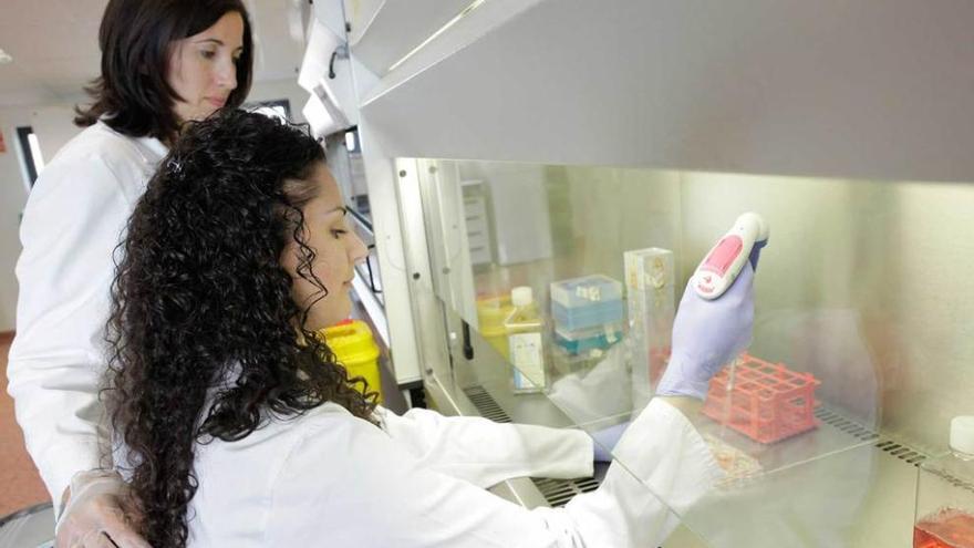 Belén Fernández, de pie, junto a Noemí Eiró, trabajando en el laboratorio del Hospital de Jove.