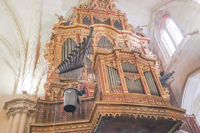 En las tripas del órgano de la Catedral de Orihuela (junio 2023)