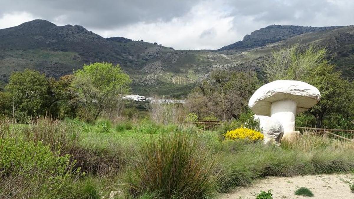 El Jardín Micológico La Trufa.