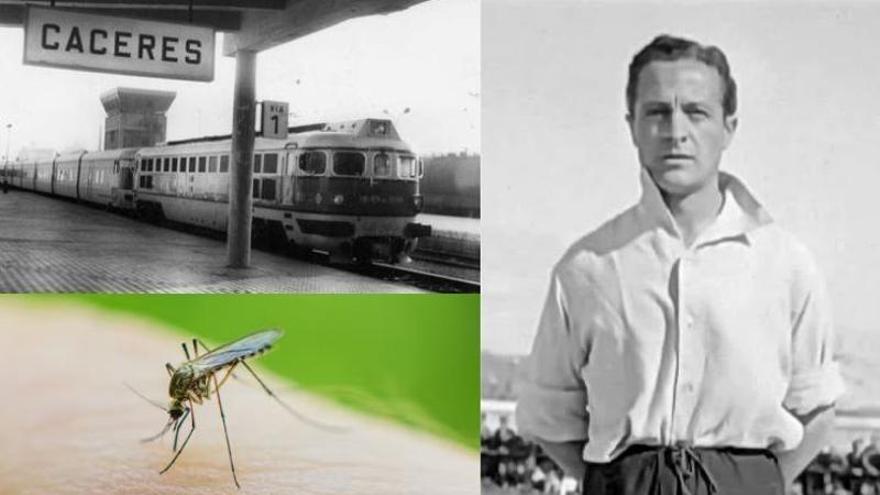 Agosto de 1984: mosquitos, reivindicaciones ferroviarias y luto en la afición de Cáceres
