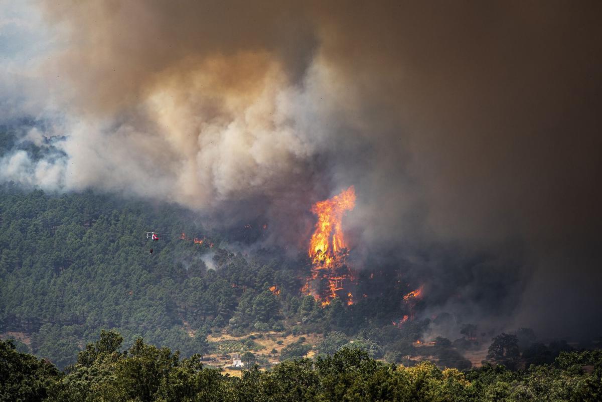 24/07/2026 Un helicóptero trata de apagar el fuego, cerca de El Castañar de El Tiemblo, a 24 de julio de 2026, en El Tiemblo, Ávila, Castilla y León (España). El Ayuntamiento de Ávila ha desplegado un operativo para atender en la ciudad a los vecinos de El Tiemblo evacuados por el incendio de Burgohondo. El dispositivo, desplegado desde la tarde noche del jueves, se ha conformado para ayudar a las tareas de traslado y evacuación de estos vecinos, han informado a Europa Press fuentes municipales. El alcalde de Ávila, Jesús Manuel Sánchez Cabrera, se encuentra al frente de la operación que cuenta con efectivos del Servicio de Prevención, Extinción de Incendios y Salvamento (Speis), Policía Local y de Protección Civil de Ávila desplegados en diversos puntos de actuación. SOCIEDAD Gabri Solera - Europa Press
