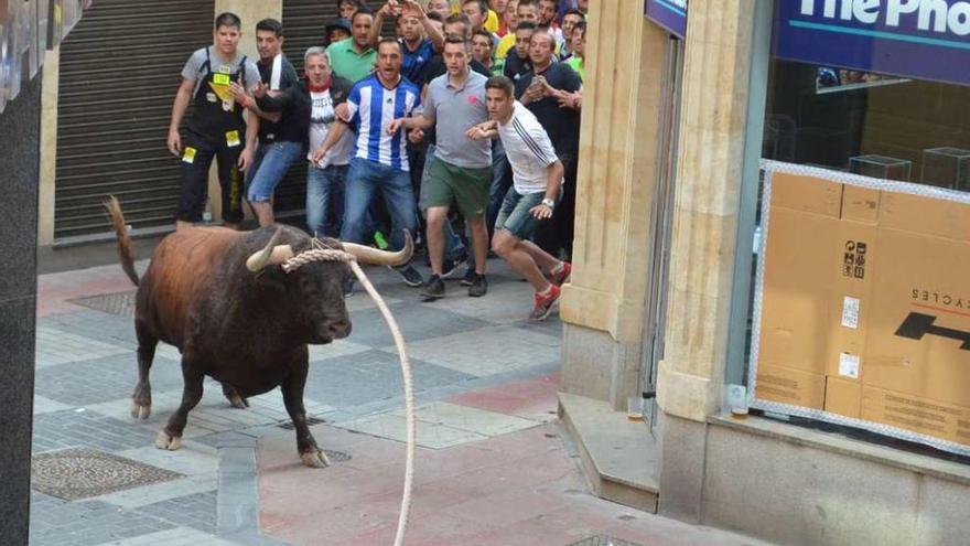 Una imagen del toro enmaromado de este año en la calle Herreros.