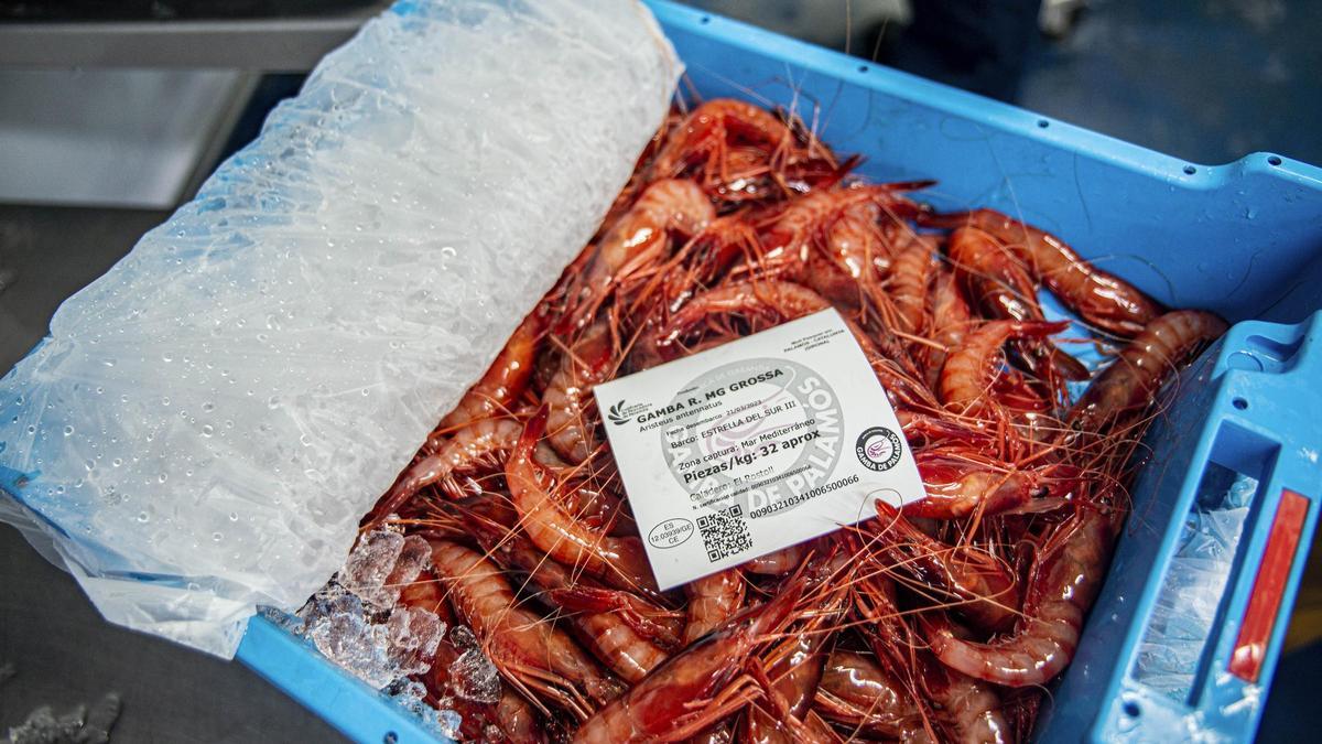 Una caixa de gambes al port de Palamós.