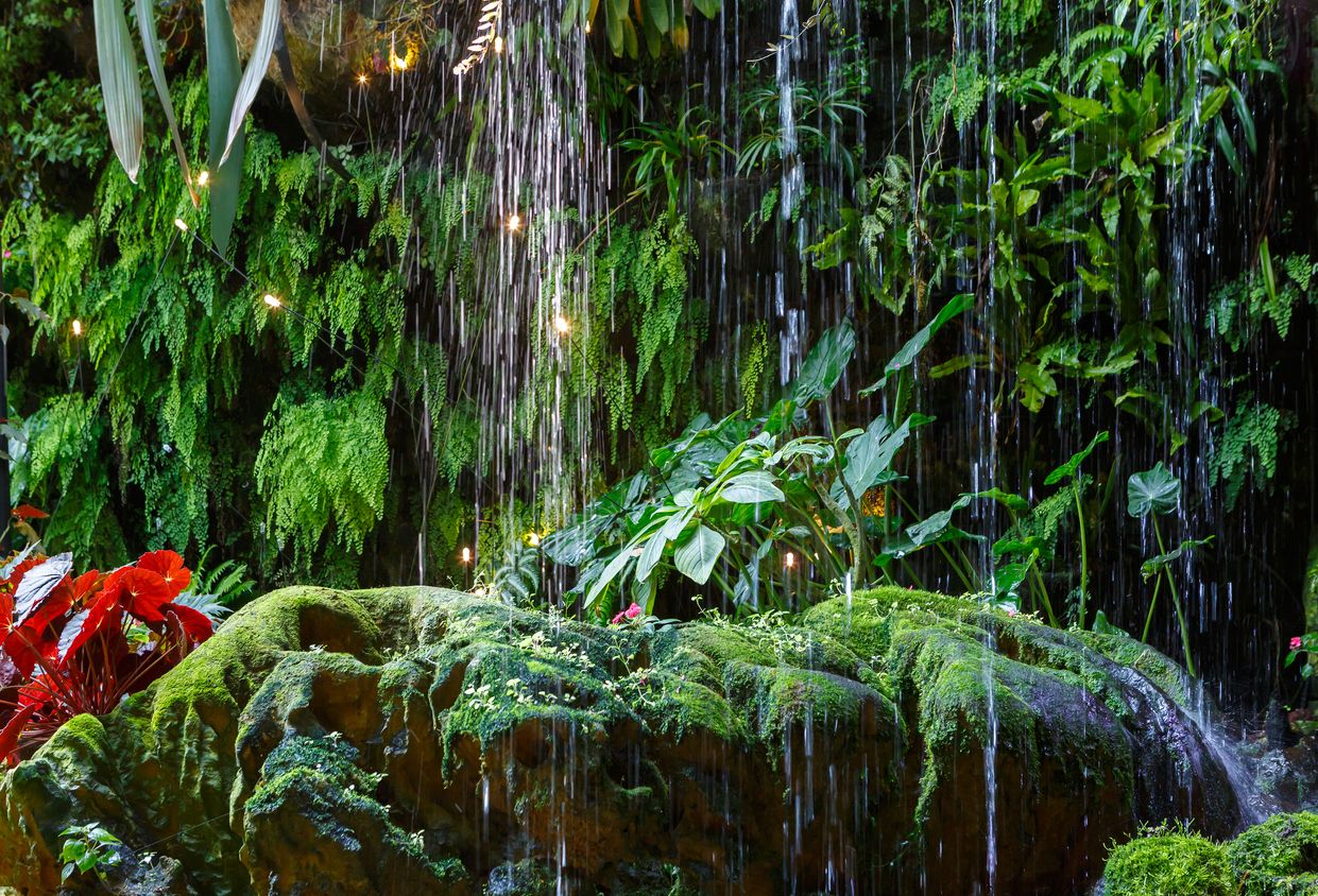 Gotas de lluvia con fondo de plantas tropicales