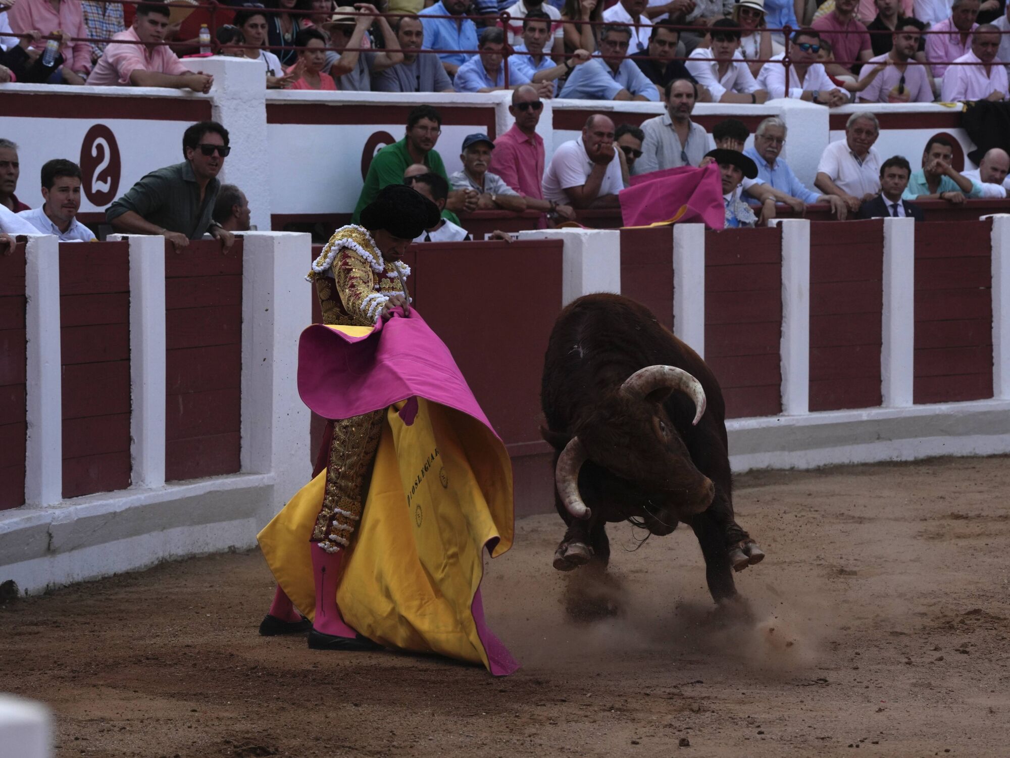 Las mejores imágenes de la feria taurina de San Pedro en Zamora.