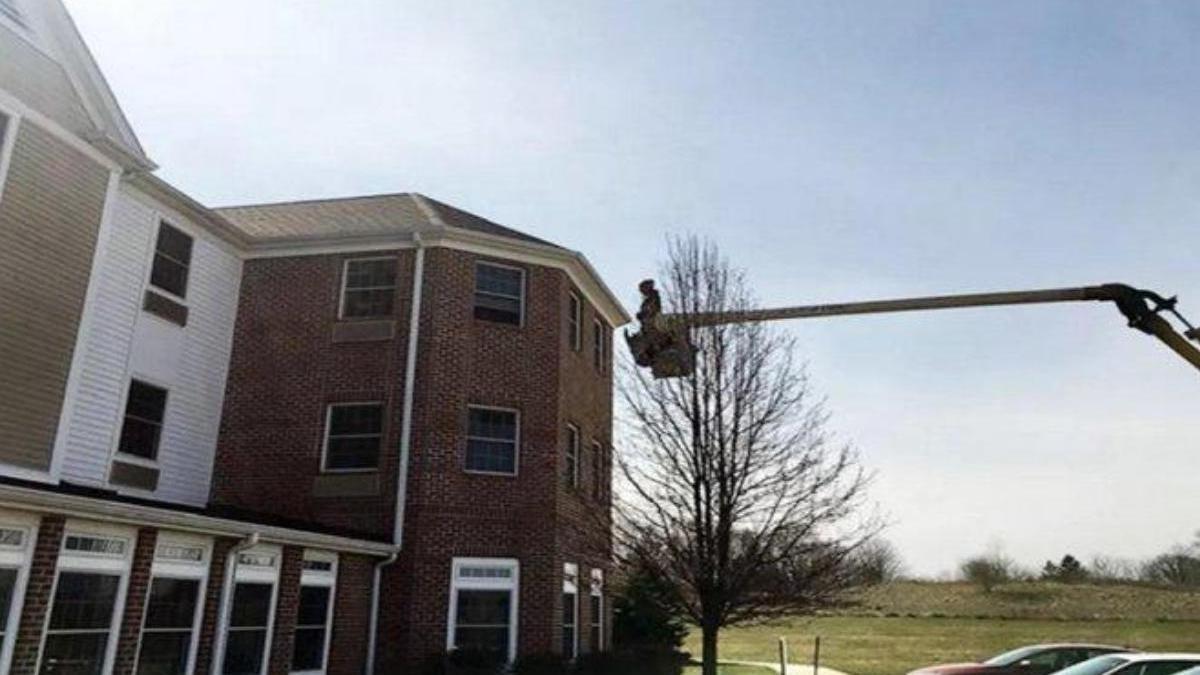 Un hombre usa la grua de la empresa para ver a su madre