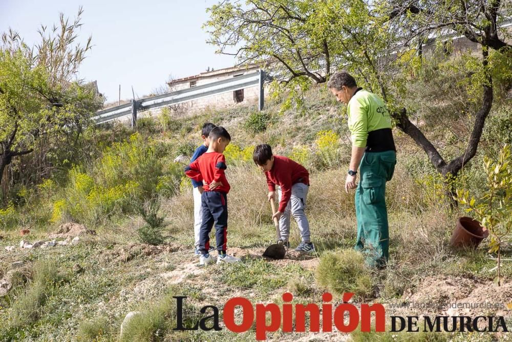 Reforestación en el paraje 'La Muralla' de Archive