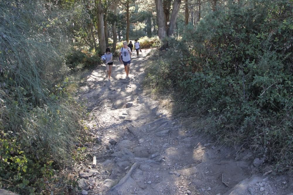 Arco Iris denuncia la pésima conservación de Costa da Vela - Asegura que es una bomba incendiaria y destaca la falta de guardas forestales y señalización adecuada