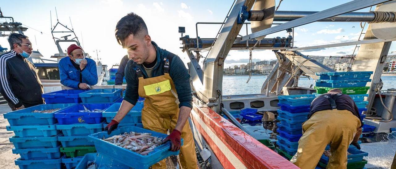 Pescadores desembarcando las capturas en el puerto de la Vila Joiosa.