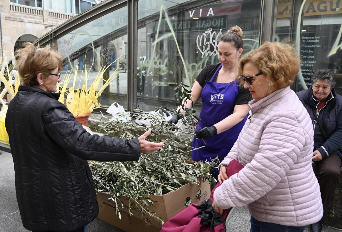 Compra de ramilletes de olivo.