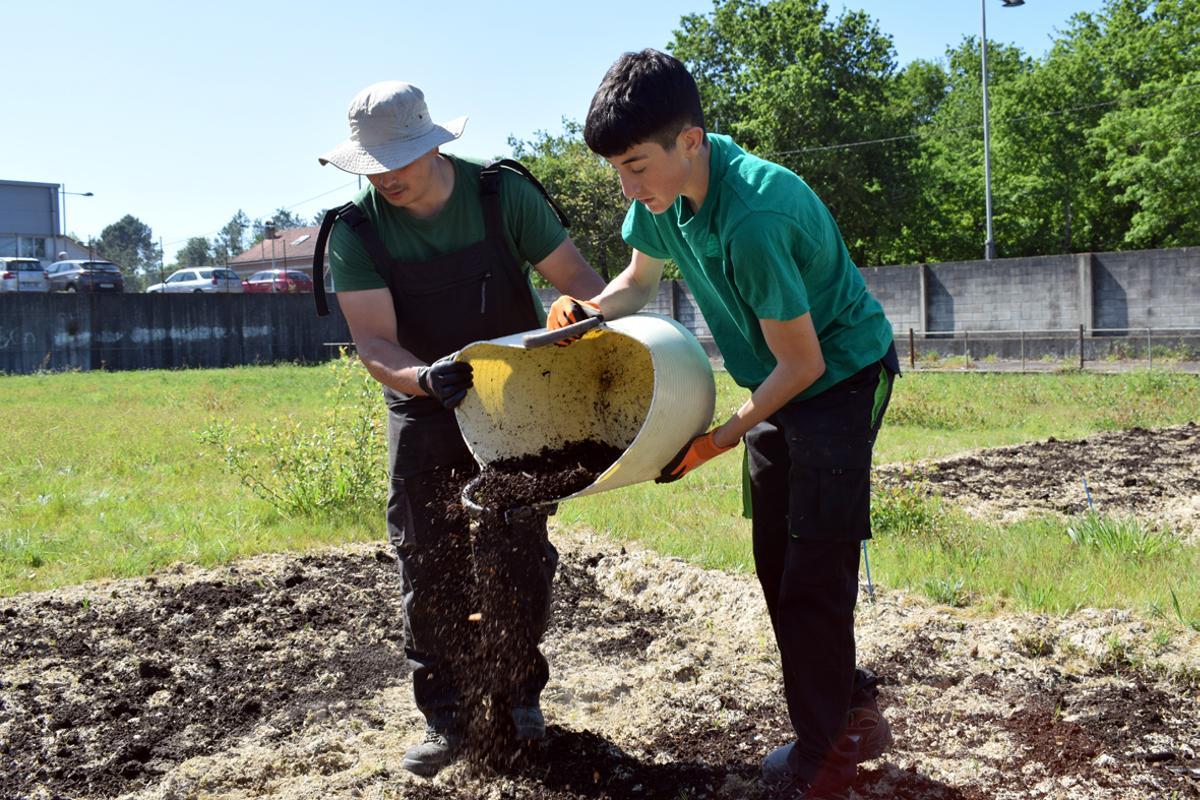 Alumnado do ciclo de Agroxardinería comparará a calidade do compost que produce co comercial