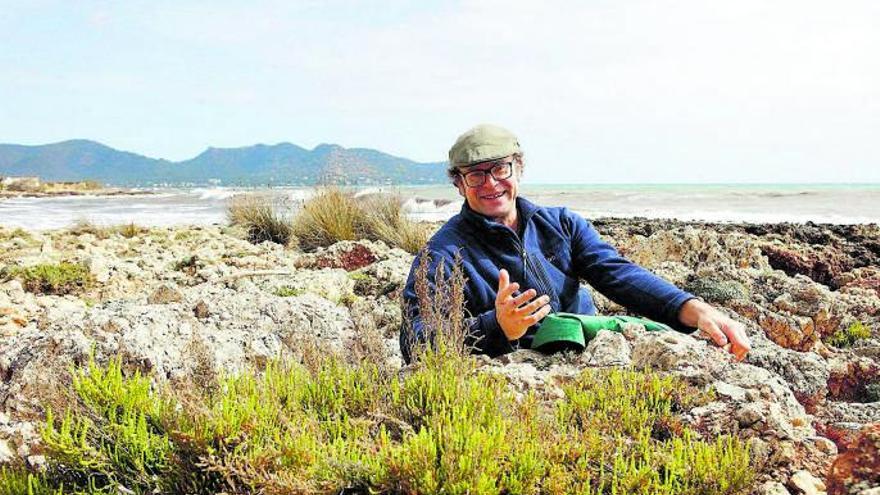 Andreas Frädrich zeigt den wild wachsenden Meeresspargel oder Queller am felsigen Strand von Cala Bona.