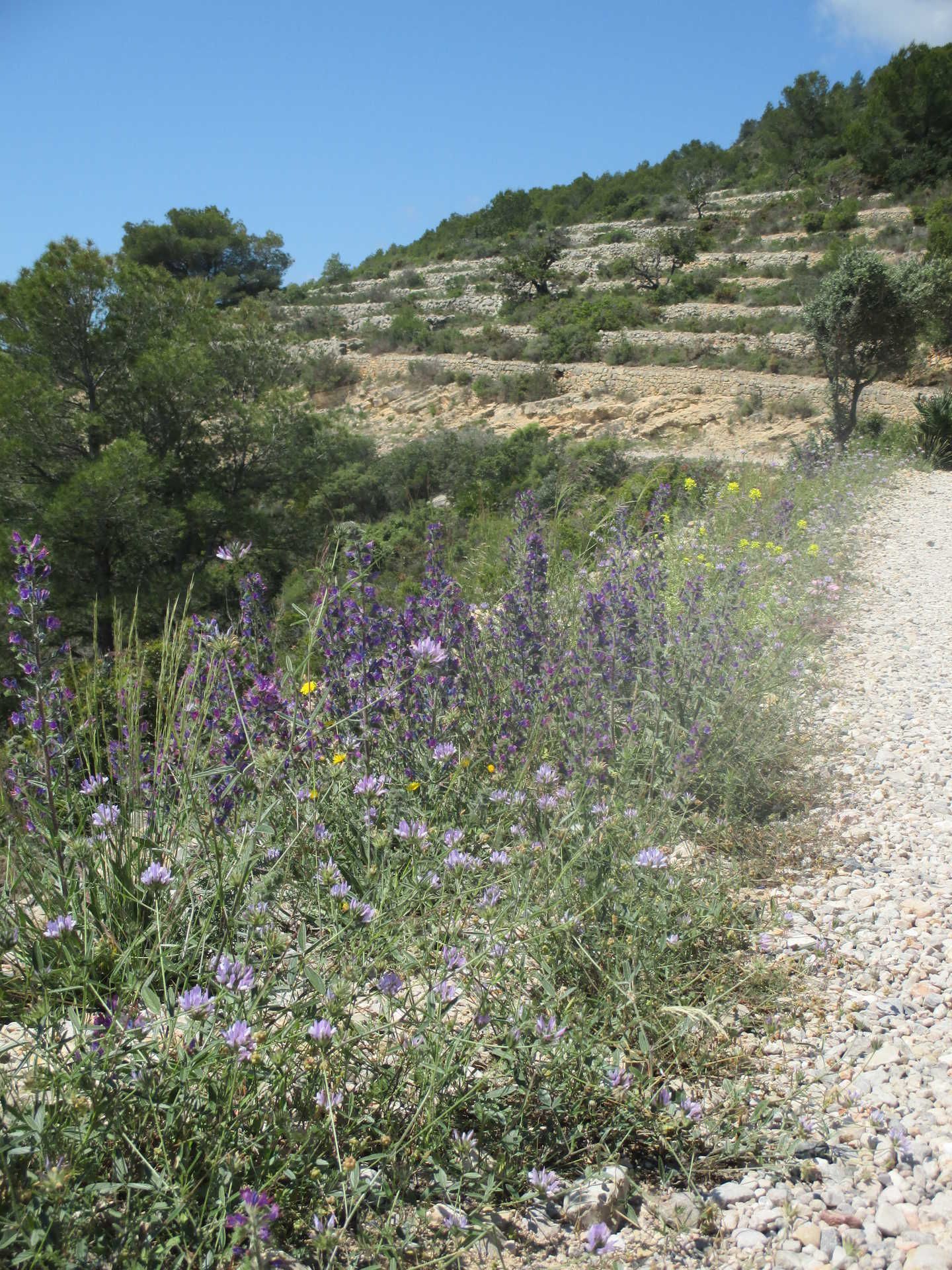 Parque natural de la Sierra de Irta