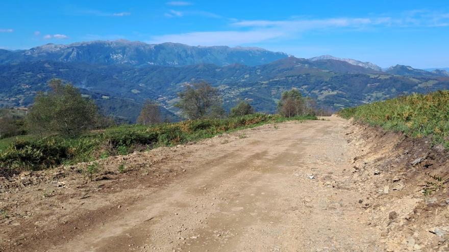 La mejora de los accesos abre nuevas expectativas para aprovechar los pastos del monte Polio en Mieres