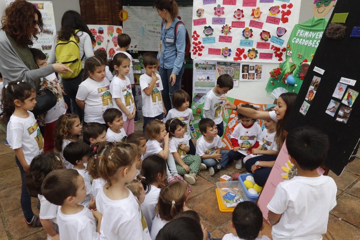 Fotogalería  /  Córdoba, a través de los ojos de la ciencia