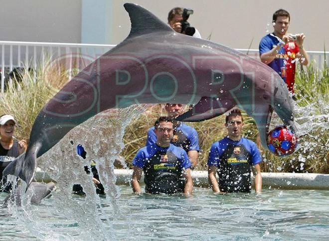 Los jugadores del Barça se divirtieron con los delfines