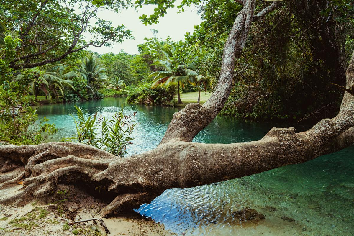 El lugar donde el río se junta con el mar Caribe.