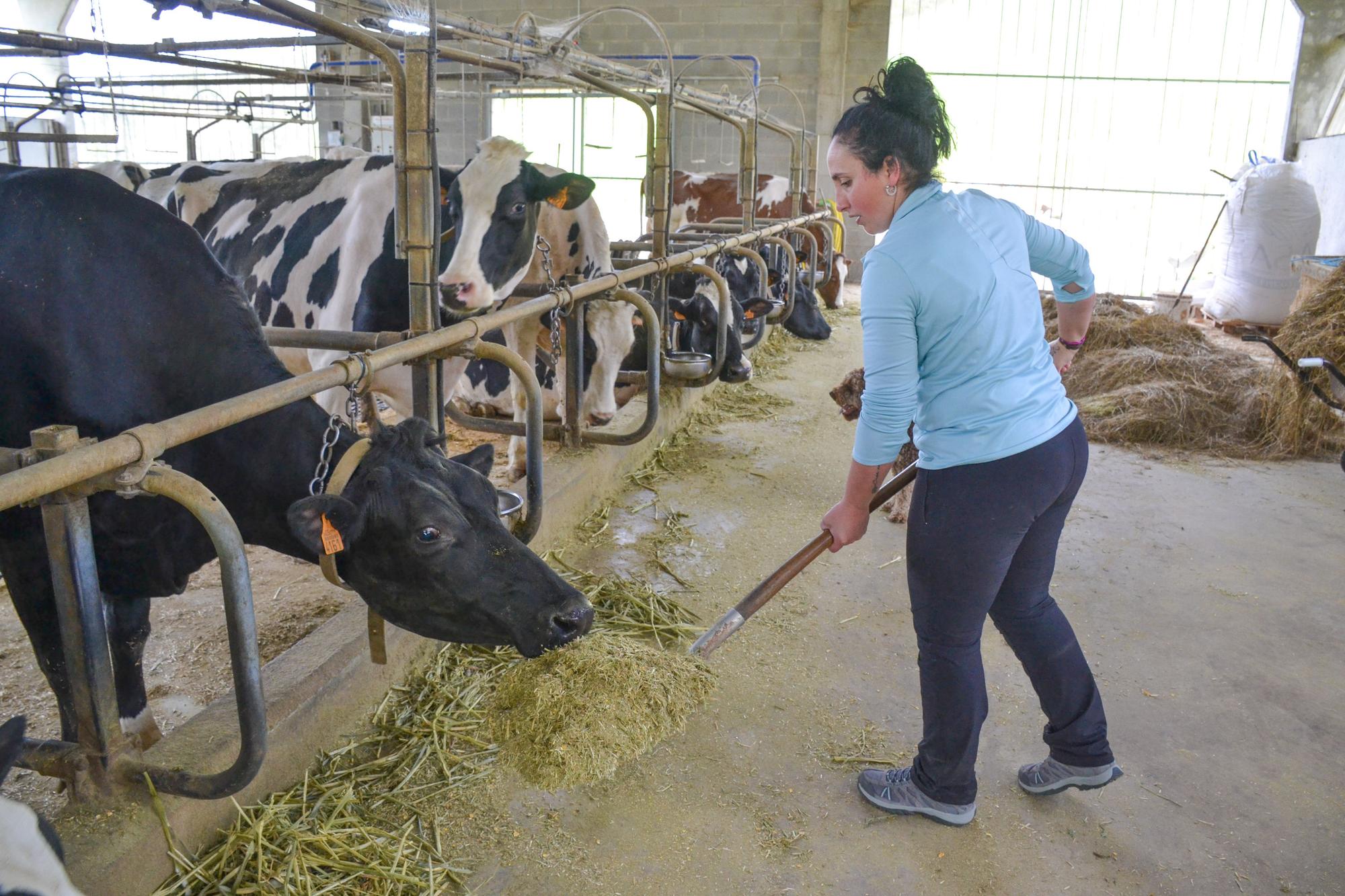 Lorena Fernández trabajando en su ganadería Garrón, en Villartorey.