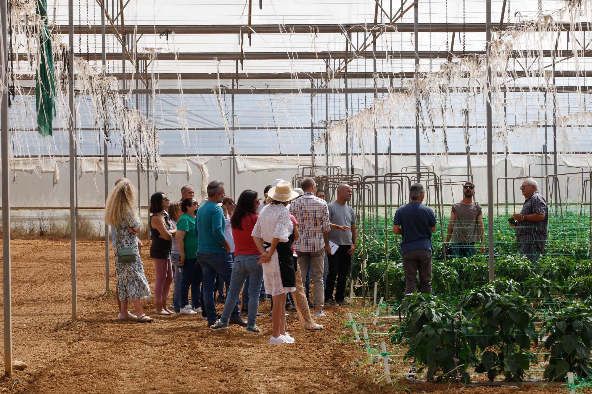 Visita guiada a la finca hortícola de Can Pol en Ibiza