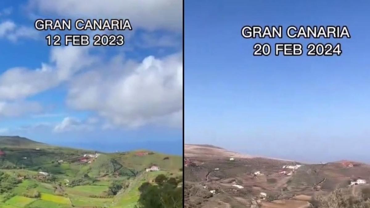 Diferencia del paisaje en los altos de Santa María de Guía de febrero de 2023 con febrero de 2024