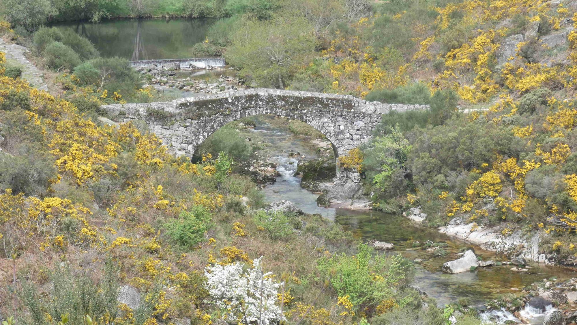 La cascada de Liñares: el "salto del ángel" de las tierras altas de Pontevedra