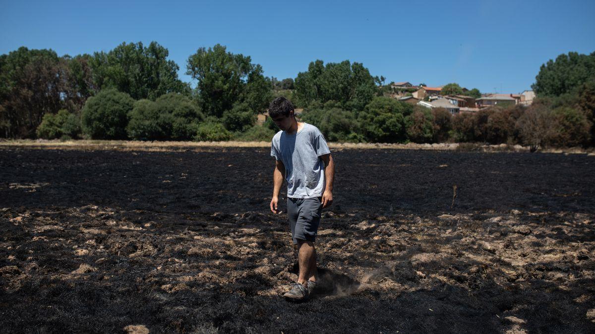 INCENDIO FORESTAL DE LOSACIO. IFLOSACIO. VECINOS QUE AYUDARON EN LA EXTINCION. / EMILIO FRAILE